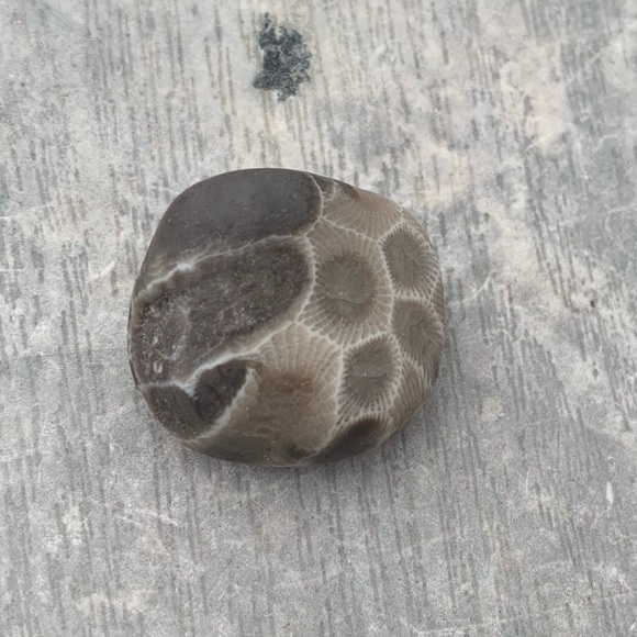 Petoskey stone - Picture 2 of 5